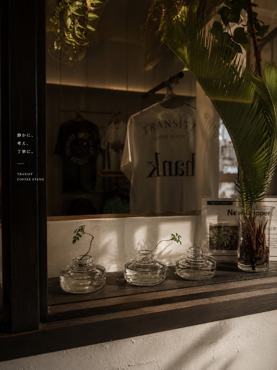 植物とTRANSITのプロダクトが見える店内窓